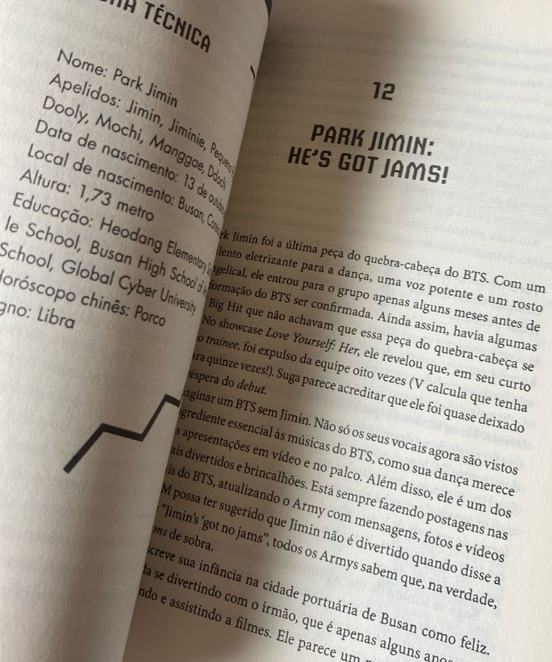 A Biografia não oficial do BTS